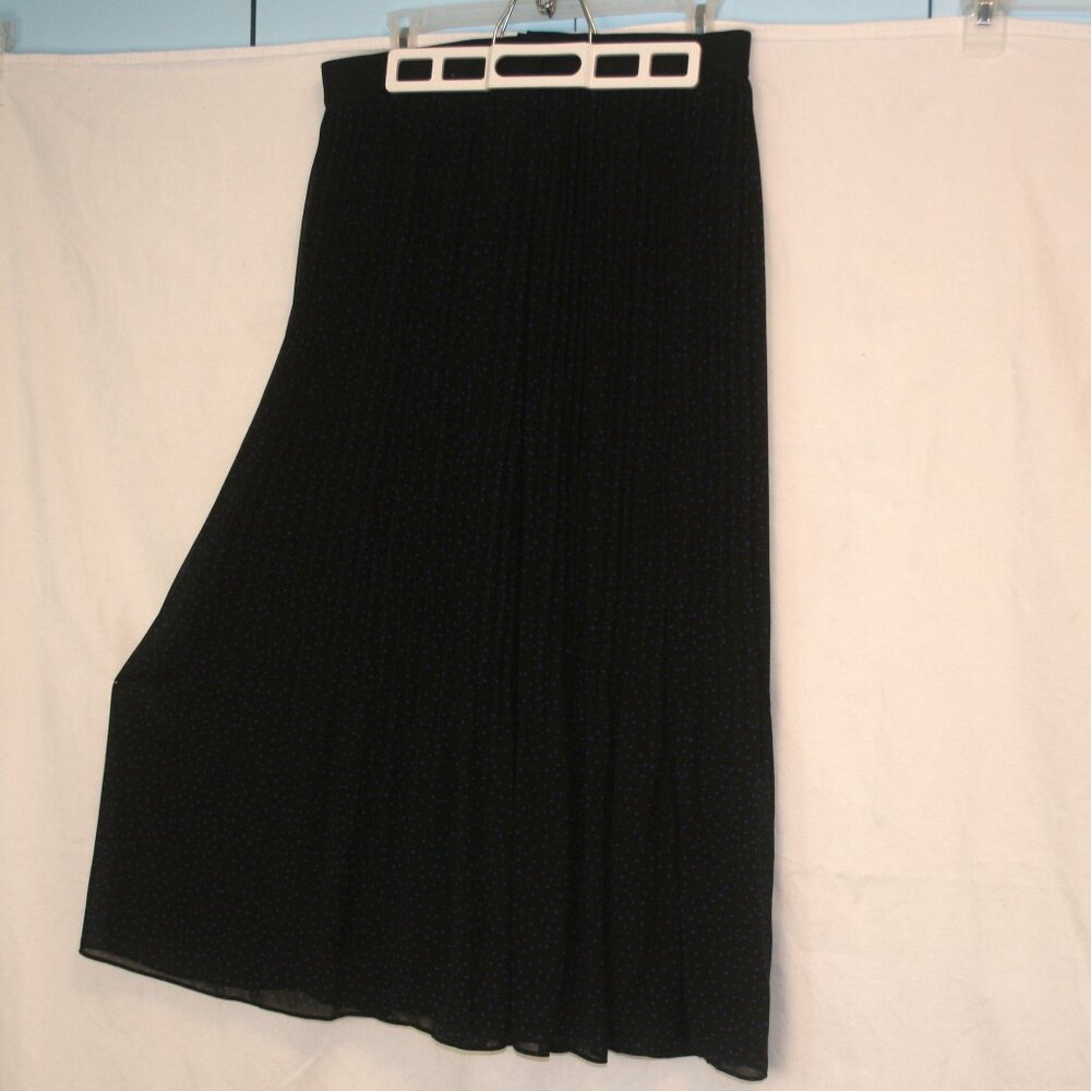 Pleated Sheer Skirt w Blue Dots